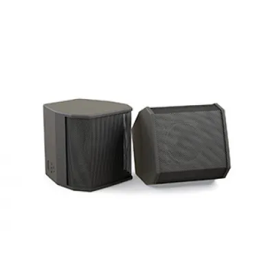 Настенная акустика CVGAUDIO SAT-S3BL